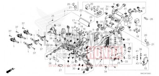 WIRE HARNESS GL1800BDM de 2021